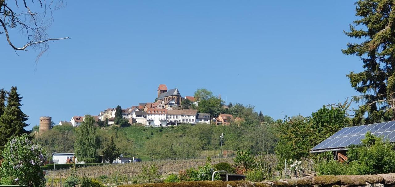 Landgasthaus "Zum Engel" Neuleiningen Kültér fotó