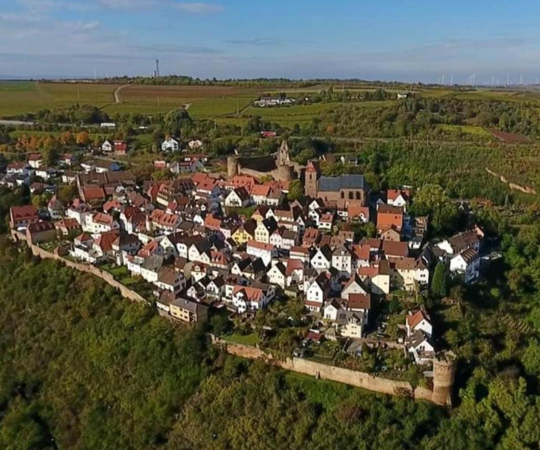 Landgasthaus "Zum Engel" Hotel Neuleiningen Kültér fotó